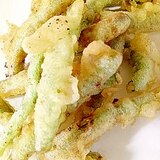 旬野菜 甘いインゲンの天ぷら